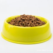 进口猫食猫玩具